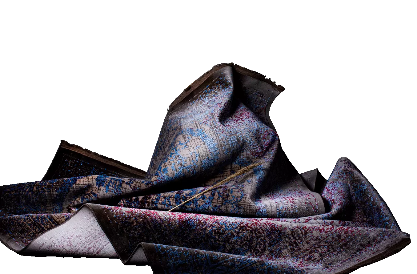 On prend soin de vos tapis et canapes